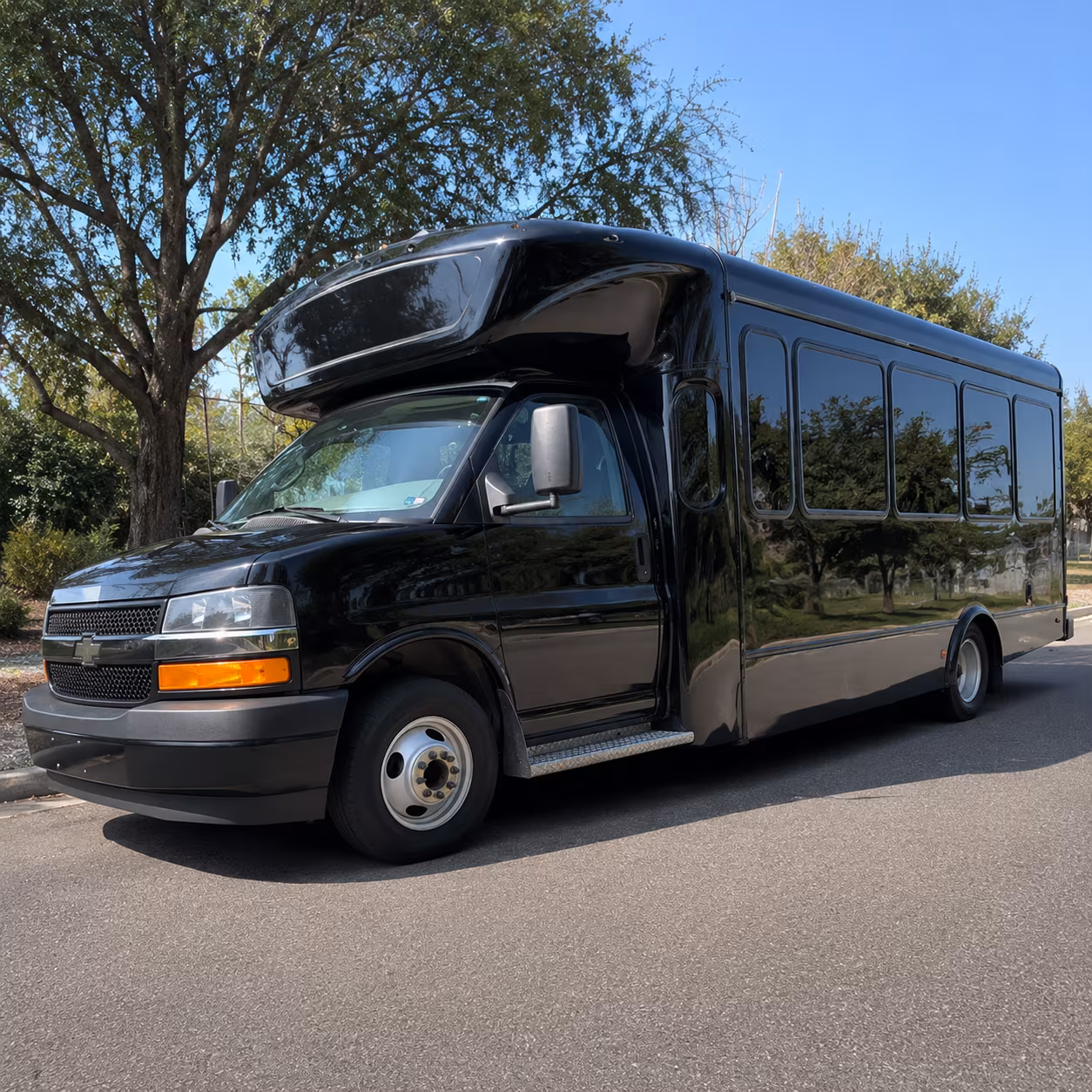 night on town party bus rental