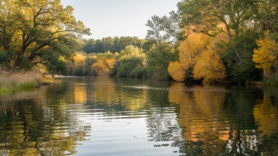 cedar river park