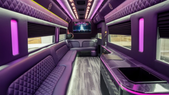 everett party bus rental inside