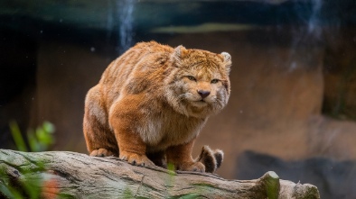 point defiance zoo aquarium